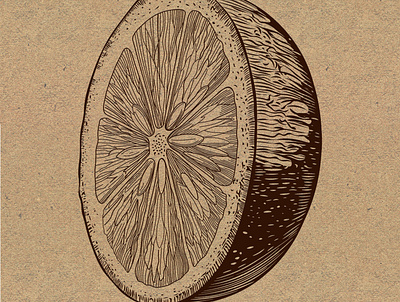 Lemon design illustration texture wood