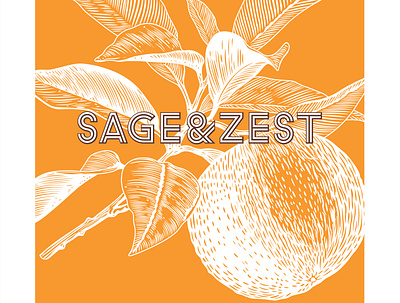 Sage & Zest Illustration branding design illustration marketing campaign orange texture