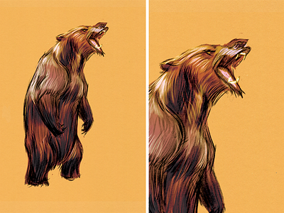 Grizzly Bear photoshop