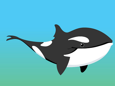 Black Fish blackfish fish killer whale ocean orca