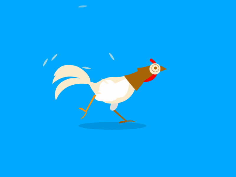 Chicken Rig after effects animation chicken cock doodle hen run run cycle