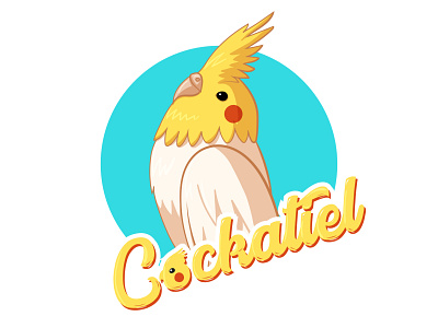 COCKATIEL / Illustration bird cockatiel drawing illustration illustrator