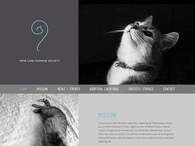 Nine Lives Humane Society cat cats web web design webpage