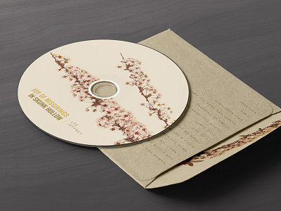 Joy of Misgivings in Skunk Hollow album album art art cd pressed