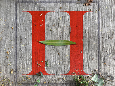 H - 36 Days of Type 36daysoftype adobe alphabet design font graphic design illustrator letter mexico mixed media mixedmedia photo photography photoshop street texture type typedesign typography