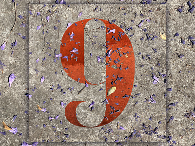 9 - 36 Days of Type 36daysoftype adobe alphabet design graphic design illustrator photography photoshop typedesign typography