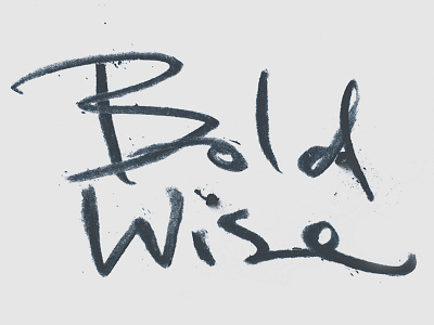 Branding Bold Wise bold wise branding hand lettering logo