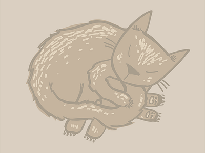 Curled Cat cat illustration
