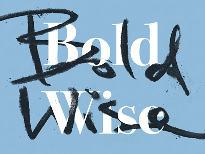 Bold Wise - tester bold wise brand experiment identity logo test
