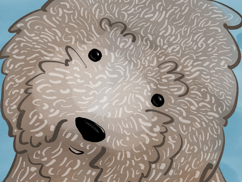 Doodle Dog Doodle by Alex Magill on Dribbble