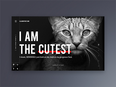 Yep. animal black cat homepage landing page website white