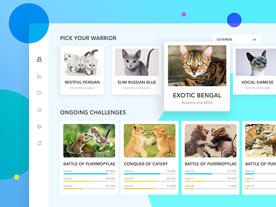 Cat Warrior blue card cat dashboard filter icon interface progress bar ui uidesign