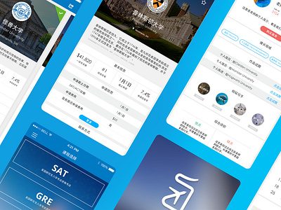 A Shot from My Portfolio blue card dashboard mobile portfolio profile ui ux website