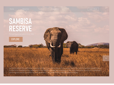 Sambisa Reserve branding design illustration illustrator landing page minimal ui ux