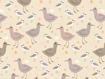 Carolina Shorebirds animals beach bird birds digital illustration illustration myrtle beach piper plover procreate shorebirds south carolina surface design surface pattern wildlife