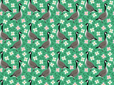 Spring Geese