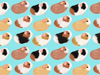 Guinea Pigs animals digital illustration digital painting guinea pig illustration pets procreate repeat pattern surface design surface pattern