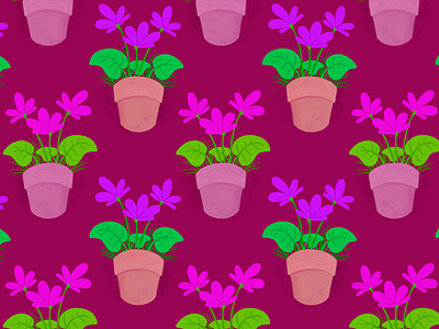 Potted Flowers