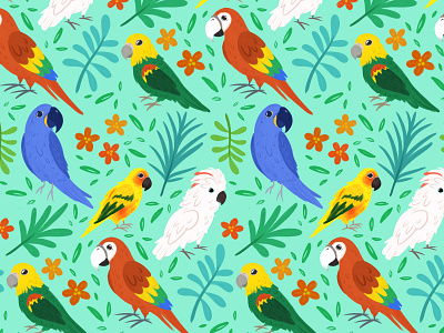 Birds of Paradise animals bird digital illustration digital painting illustration parrot parrots procreate repeat pattern surface design surface pattern