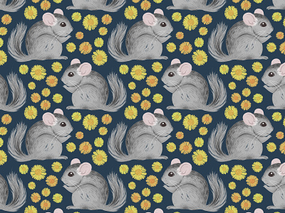 Chinchillas