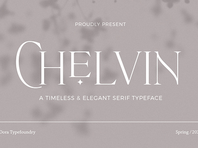 Chevin Serif branding calligraphy design headline modern poster pretty quotes stylish wedding