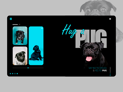 PUG website concept