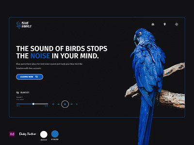 Blue parrot webpage concept. adobe photoshop attractive bird bird logo branding creative parrot sound design typography ui uiux website