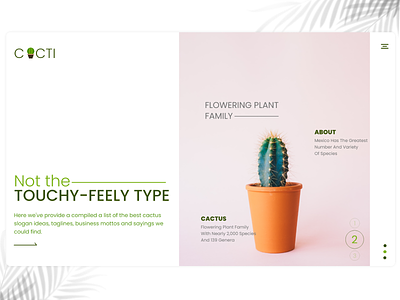 Cacti - Flowering plant