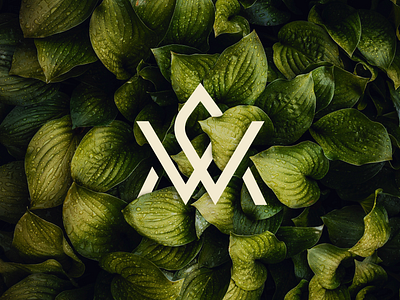 W and M Mark 99designs behance branding creative creative logo graphic design illustration leaf letter m letter w logo logo design minimal nature nature logo