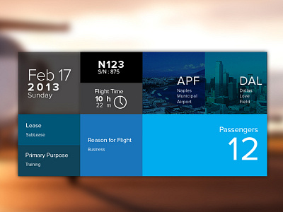 Dashboard View - Flight Details