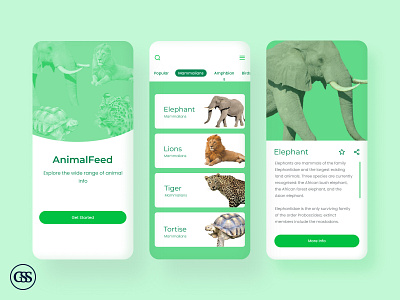 AnimalFeed App Design animal animalfeed animalsearch animalwiki design figma figmadesign mammals minimal moblieui ui ux visual design