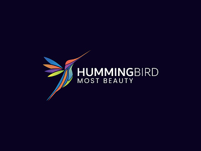 Hummingbird Logo abstract abstract logo artwork beauty bird logo brand design branding business corporate creative flatdesign flybird hummingbird logo illustration logo logotype minimalist nature sky