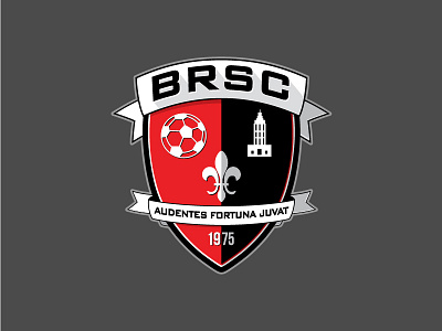 Baton Rouge Soccer Club Logo