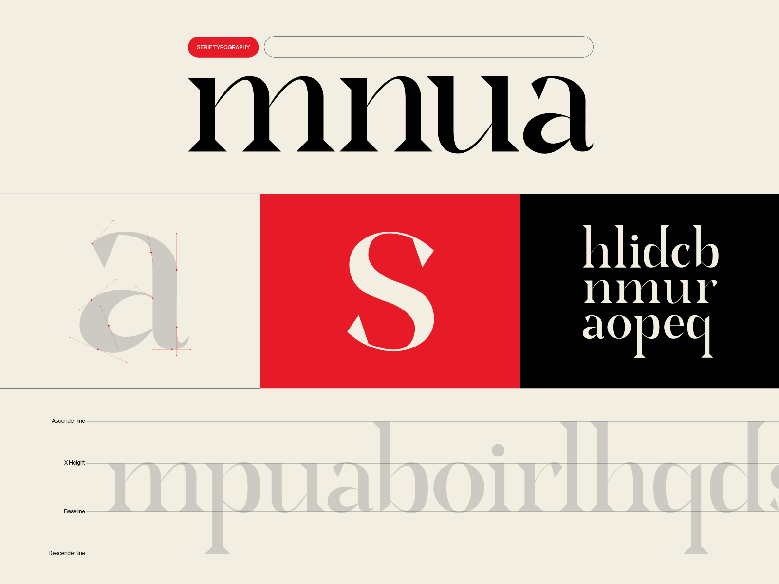 mnua experimental serif typography