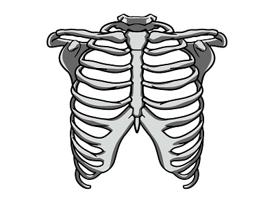 Rib cage anatomy II - Floral - Black