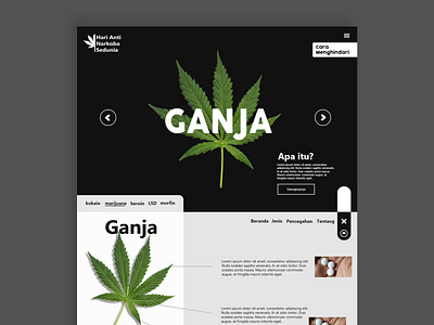 International Anti Drug Day Web Design