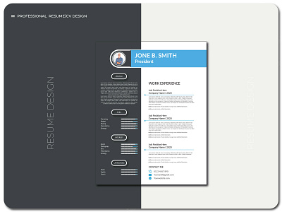 professional resume cv design template