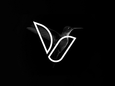 Hummingbird Logo Design bird hummingbird logo illustration logo logo design logobird vector