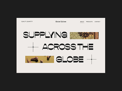 Global Spices - Web Design