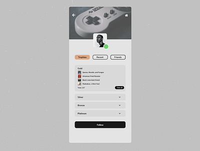 Game User Profile dailyui user user profile