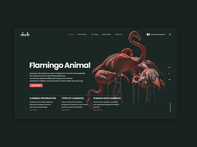 FLAMINGO Website app branding design graphic design illustration minimal ui ux web website