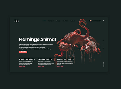 FLAMINGO Website app branding design graphic design illustration minimal ui ux web website
