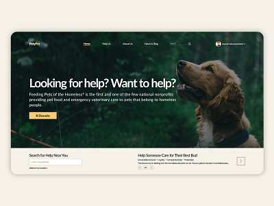 Petypet Website branding design flat graphic design icon minimal ui ux web website