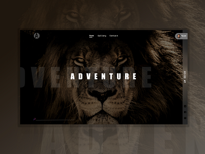 Adventure Website