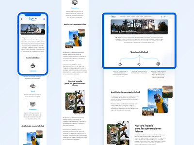 Transelca Website Design Proposal branding inspiration landing ui ux website