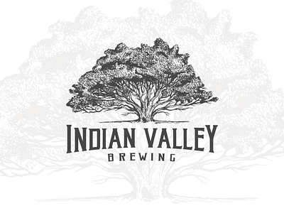 Indian Valley Brewing