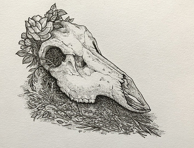 Totenkopf black white drawing illustration ink skull