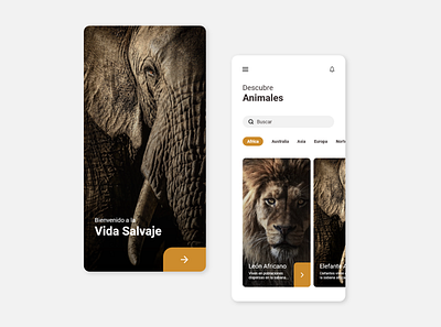 DISCOVER ANIMALS adobe xd app mobile app mobile app design peruapp ui ux uxdesign web