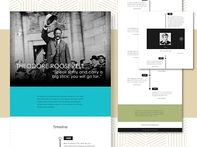 Theodore Roosevelt (Desktop Display) concept contemporary history timeline tribute uiux user interface design webdesign website website design