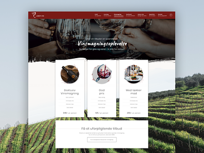 Liber Wine - Website design 3d images modern we design web webdesign wine wineyard